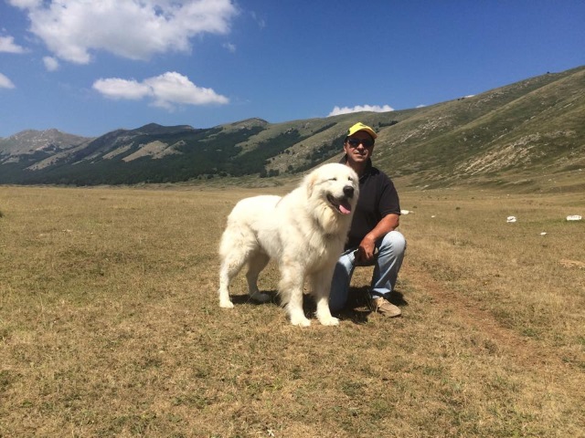 Fiero e Francesco in montagna